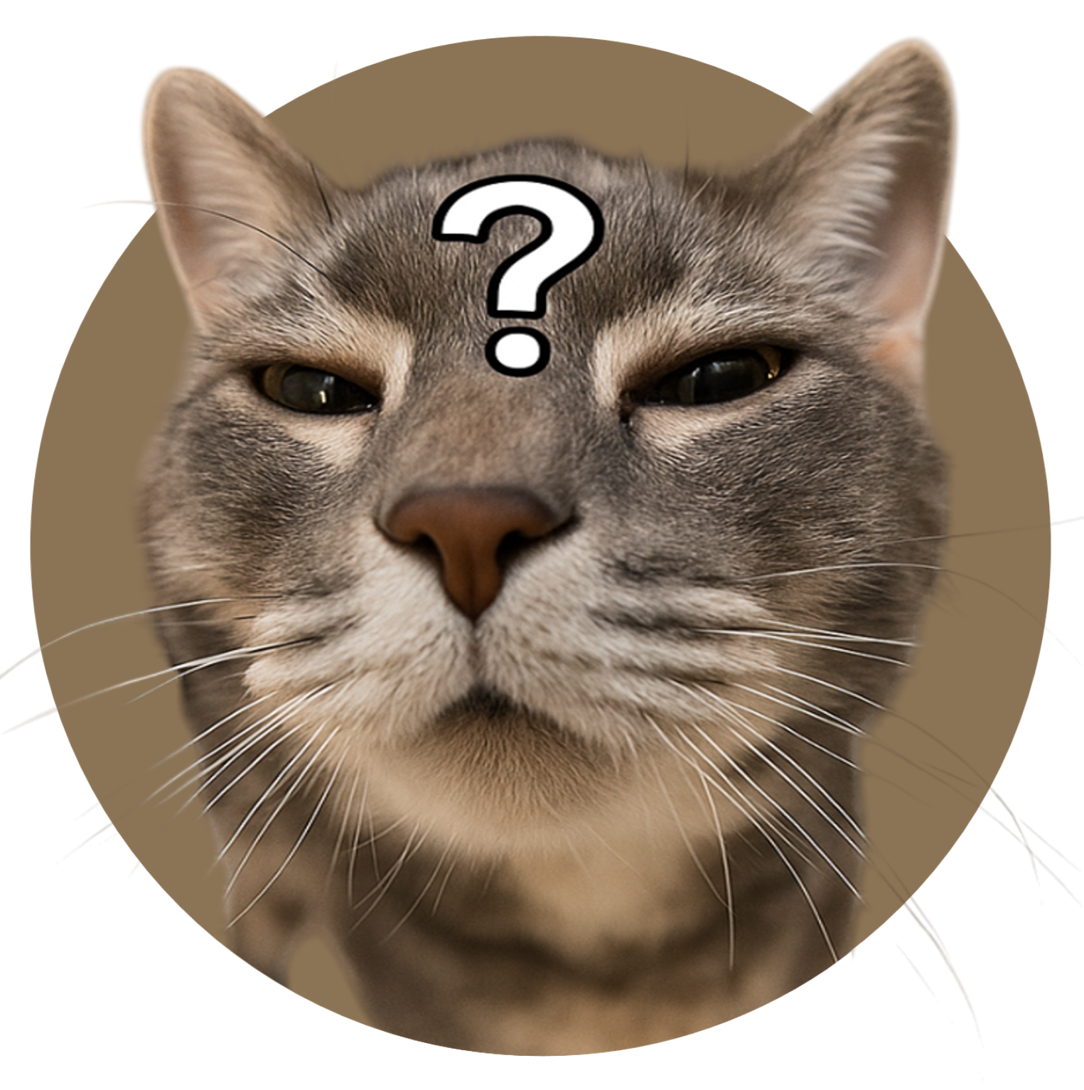 QuizzyCat Logo